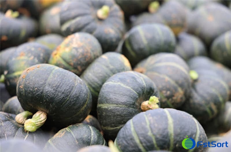 baby pumpkin.jpg baby pumpkin.jpg